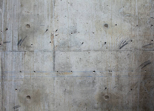 Best Concrete Crack Repair  in Palmview, TX